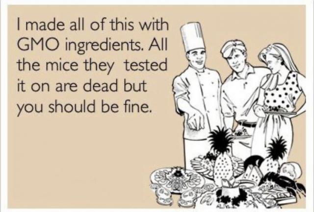 GMO