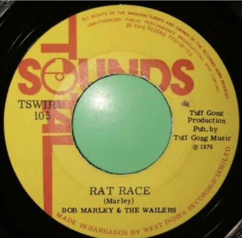 Rat race